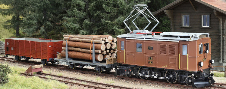 Rolling stock, H0m scale